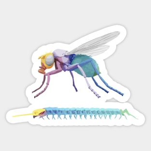 Evolution Hox Genes Similarities Housefly and centipede Sticker